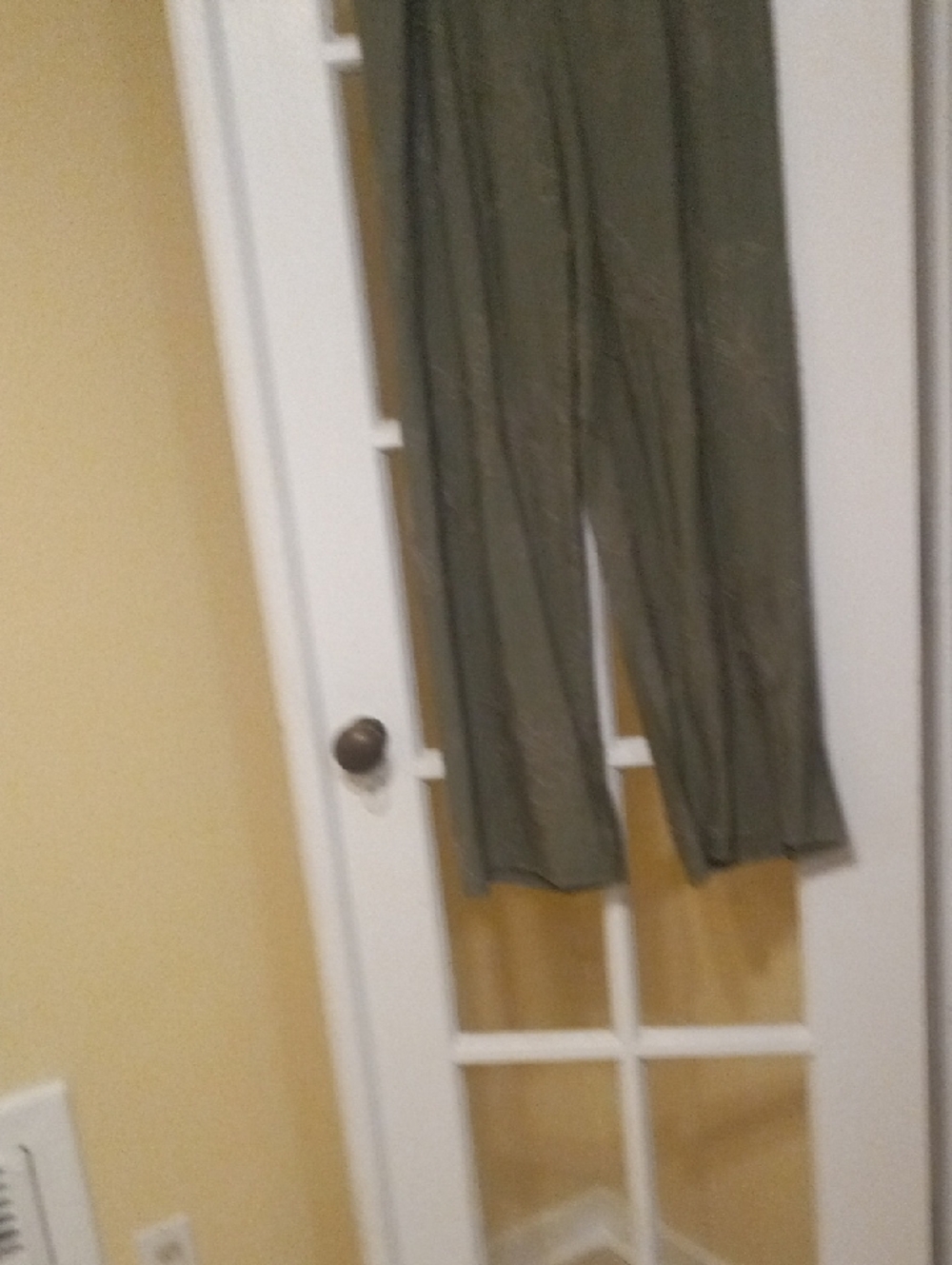 Wide-Leg Pants Embrodered Details NWT